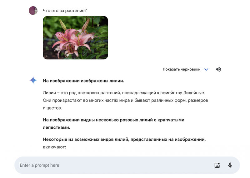 Что такое Google Gemini и как им пользоваться