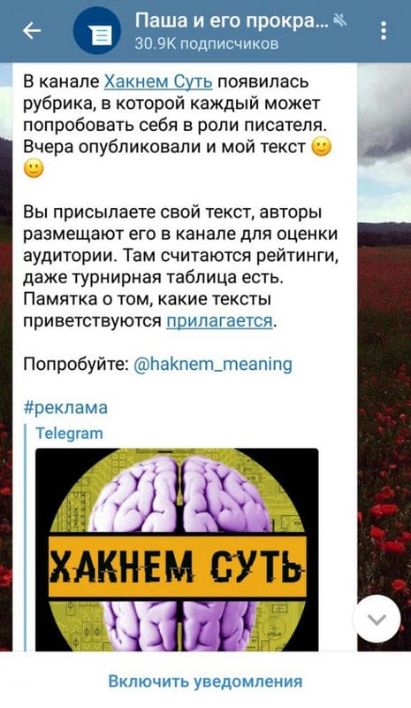 Продвижение Telegram-каналов в 2024 году: креативные форматы, боты и сервисы