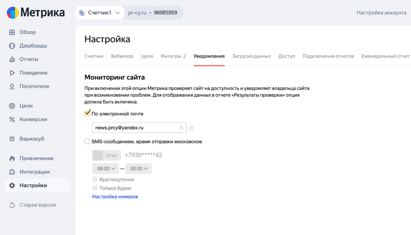 Яндекс.Метрика от А до Я