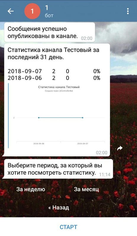 Продвижение Telegram-каналов в 2024 году: креативные форматы, боты и сервисы