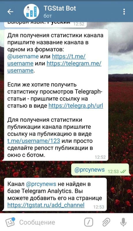 Продвижение Telegram-каналов в 2024 году: креативные форматы, боты и сервисы