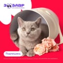 Кейс EMP, MGCom и Zoosaurus: как сократить расходы на подписчиков ВКонтакте на 32%
