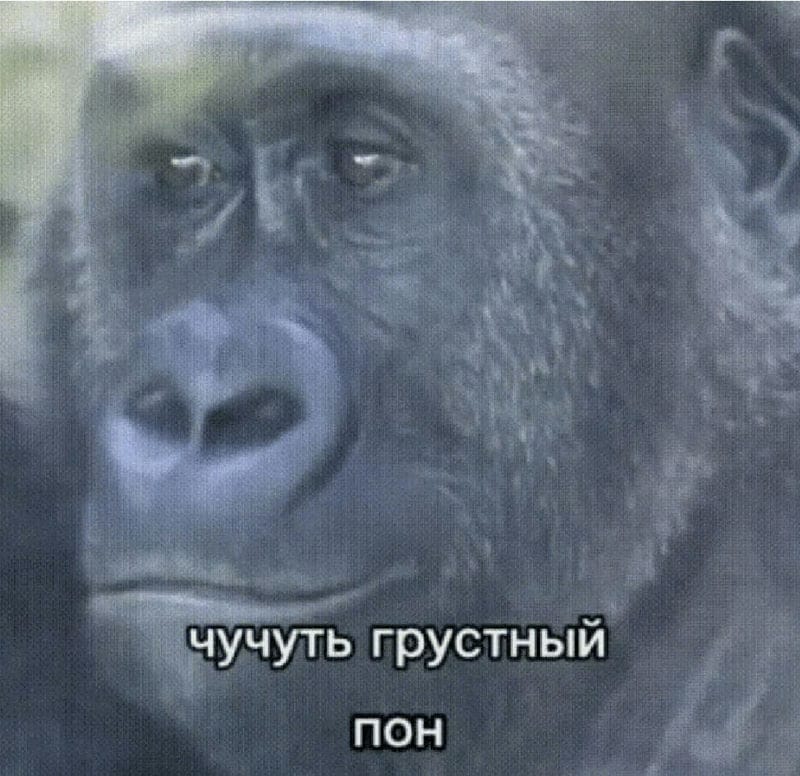 Зумерский сленг – понимаете ли вы язык и слова молодежи