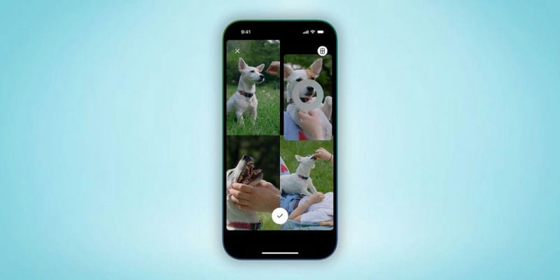 Коллажи в сторис и подписи над фото — Telegram выпустил обновление