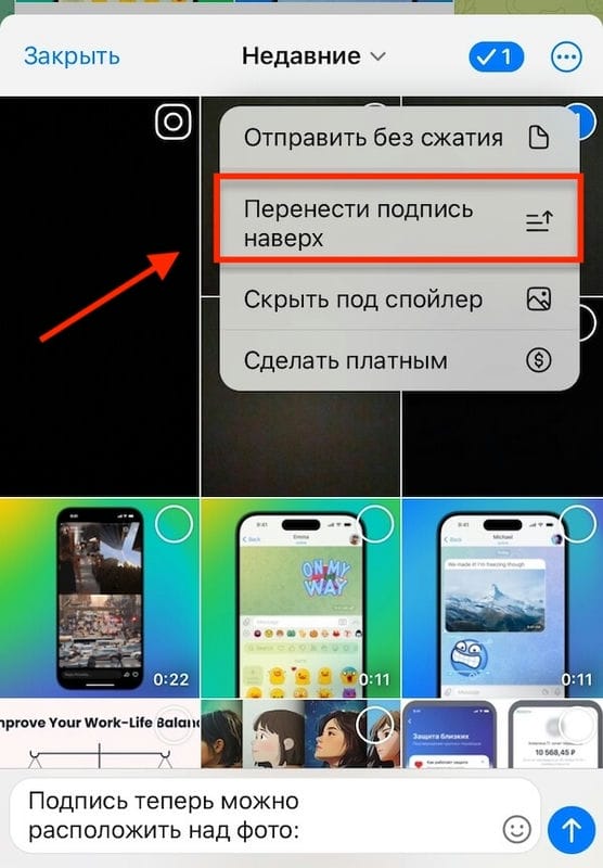 Коллажи в сторис и подписи над фото — Telegram выпустил обновление
