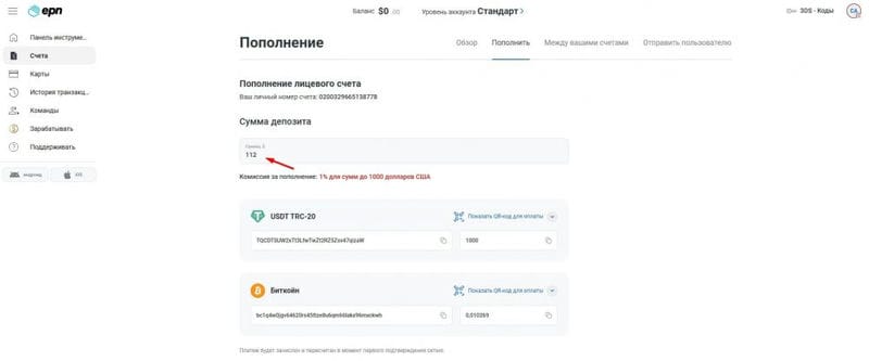 Обзор сервиса e.PN: виртуальные карты для арбитражников и вебмастеров