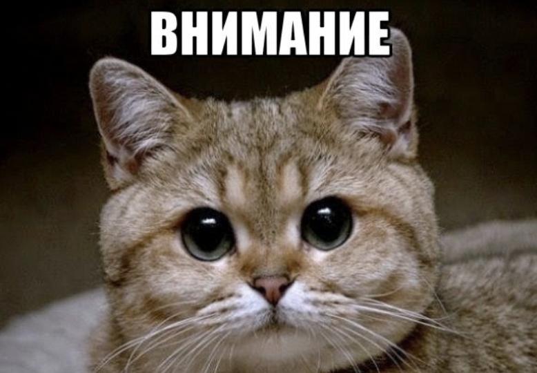 Ответы на популярные вопросы по SEO