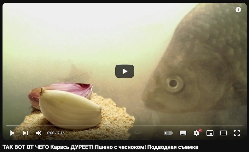 Карась дуреет от этой прикормки: что это за мем, откуда взялся и что означает