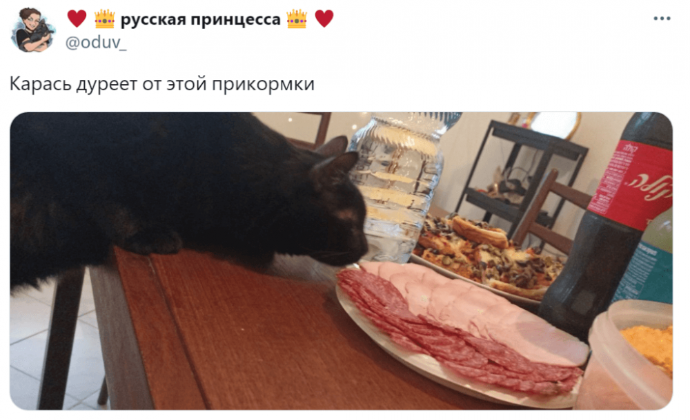 Карась дуреет от этой прикормки: что это за мем, откуда взялся и что означает