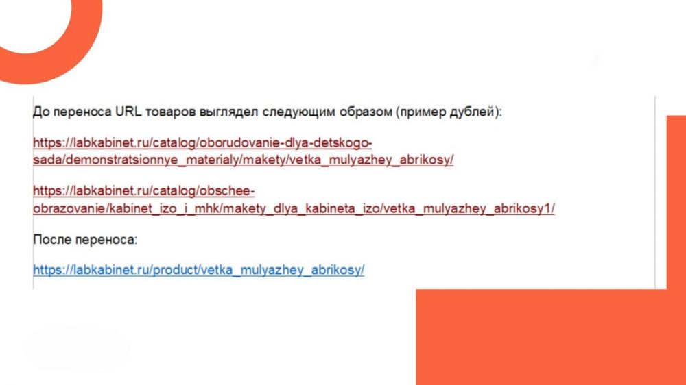 Как увеличить органический трафик на сайт для узкого b2b-сегмента за полгода
