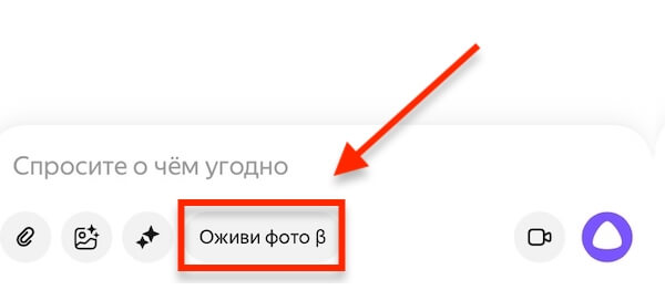 «Алиса» научилась оживлять фото и генерировать 4-секундные видео
