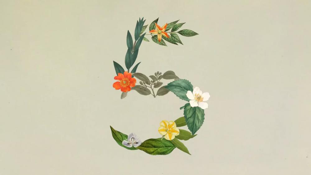 Anthropic выпустила Claude Sonnet 5 — модель с контекстным окном на 1 млн токенов
