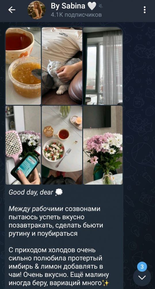 Как вести личный блог в Телеграм: темы, оформление и идеи для канала