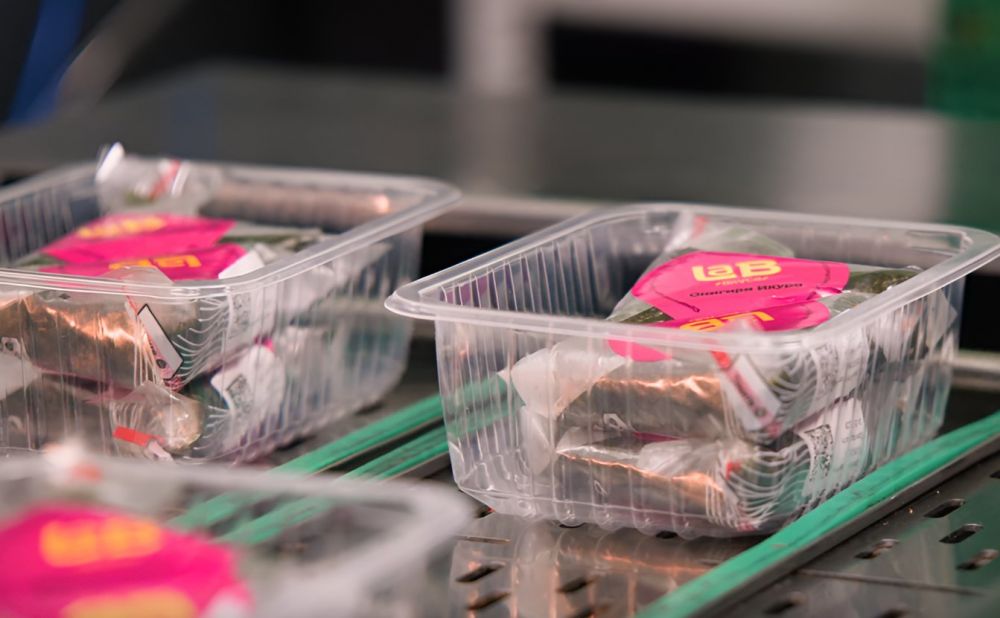 Производитель азиатских снеков «Lab вкуса» подвел итоги пятилетней работы